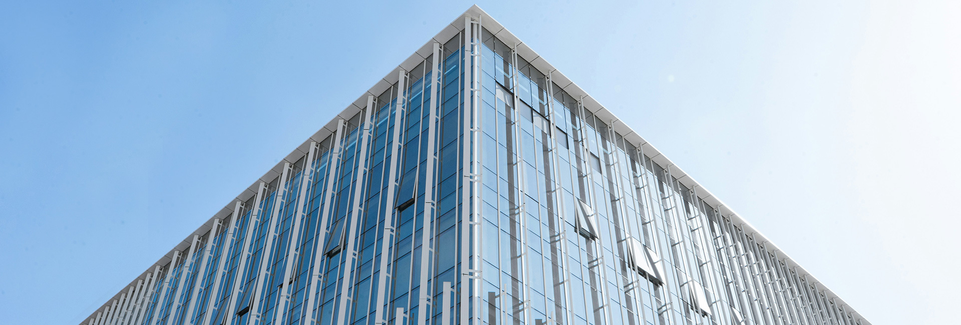 365速发国际(中国)官方网站